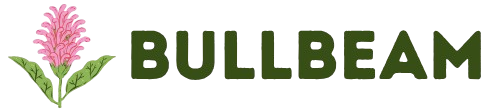 Bullbeam